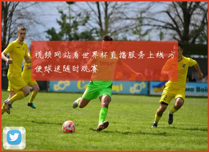 视频网站看世界杯直播服务上线 方便球迷随时观赛